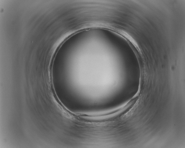 X0000069360996200605192053