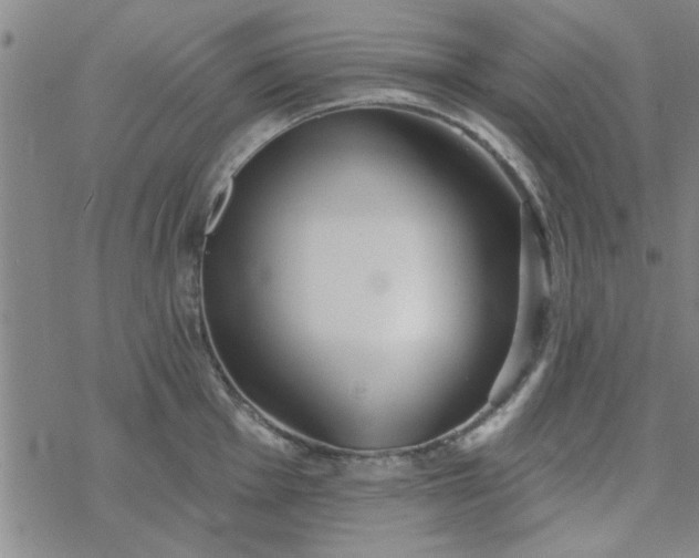 X0000069361001200605192053