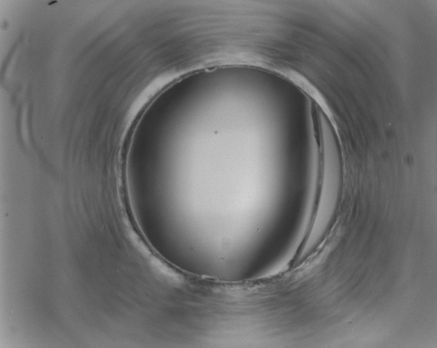 X0000069361005200605192053