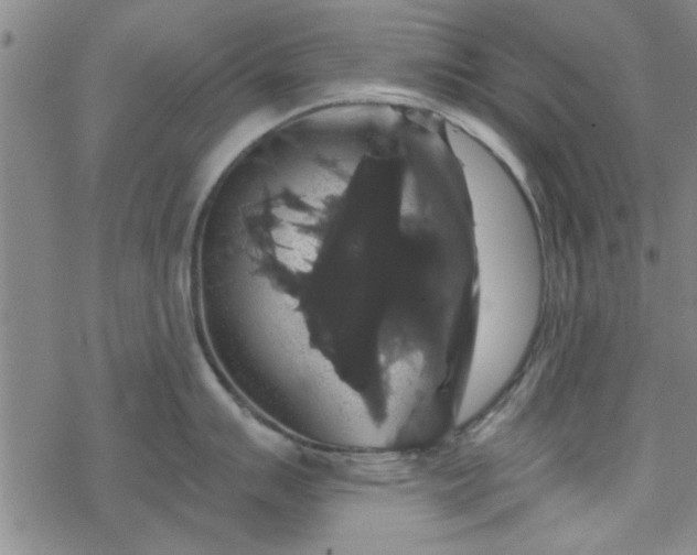 X0000069361007200605192053