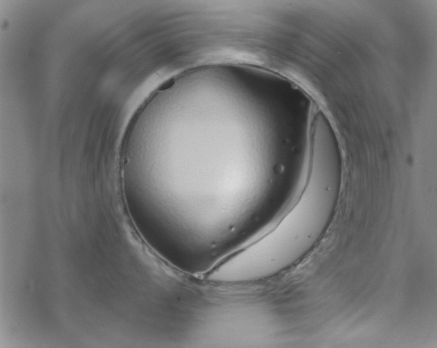 X0000069361008200605192053