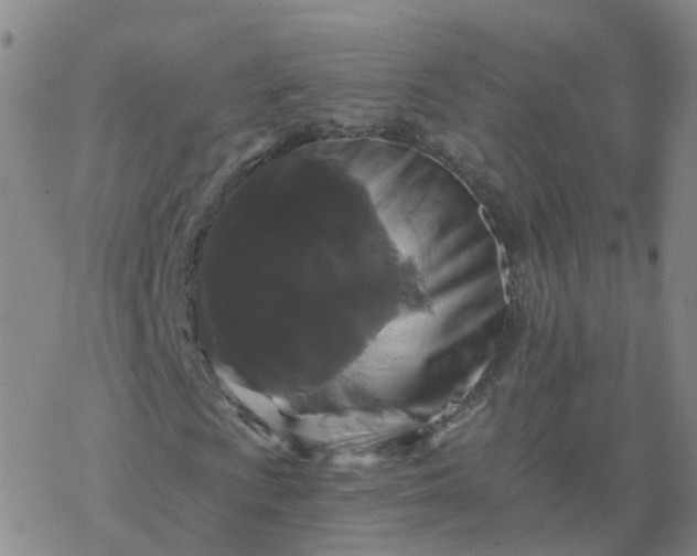 X0000069361009200605192052