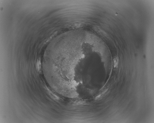 X0000069361011200605192052