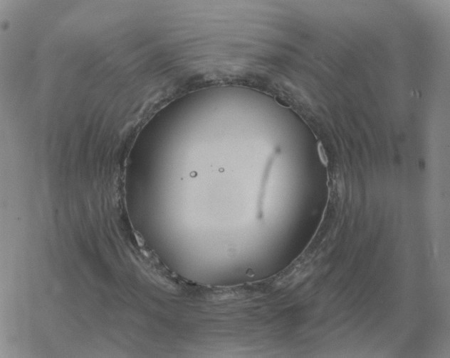 X0000069361012200605192052