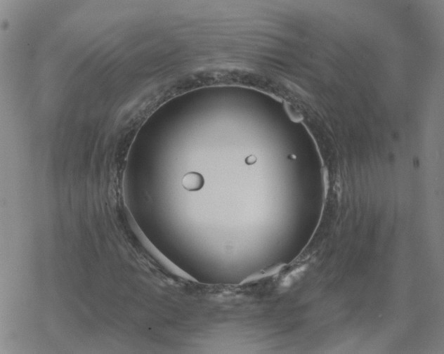 X0000069361014200605192053