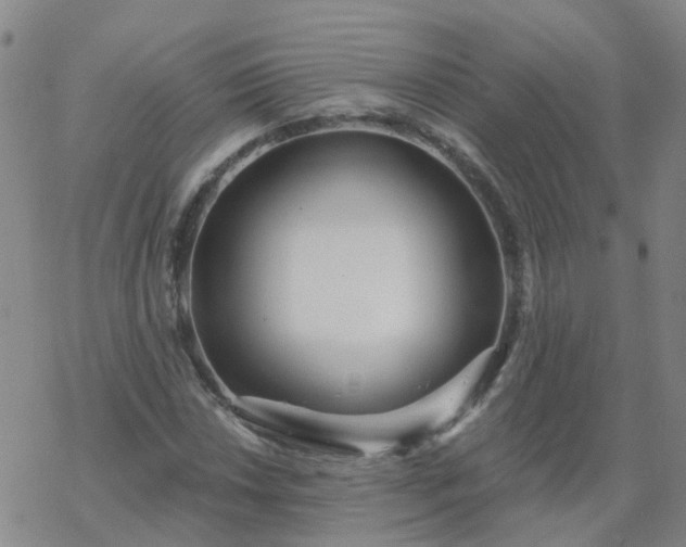 X0000069361018200605192053