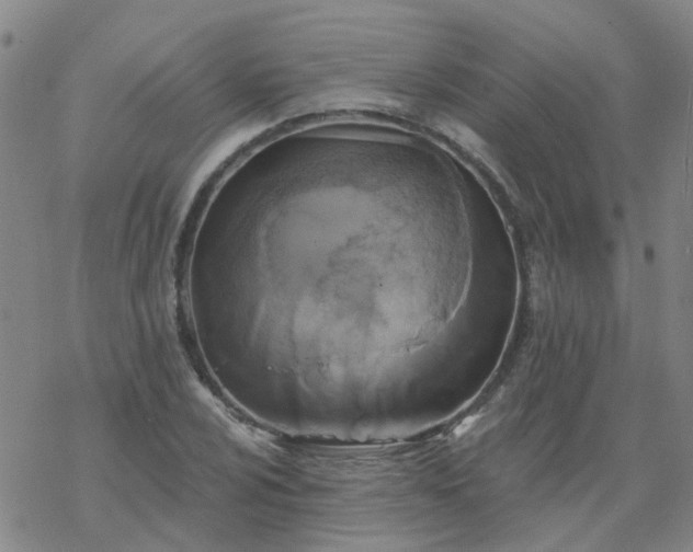 X0000069361024200605192053