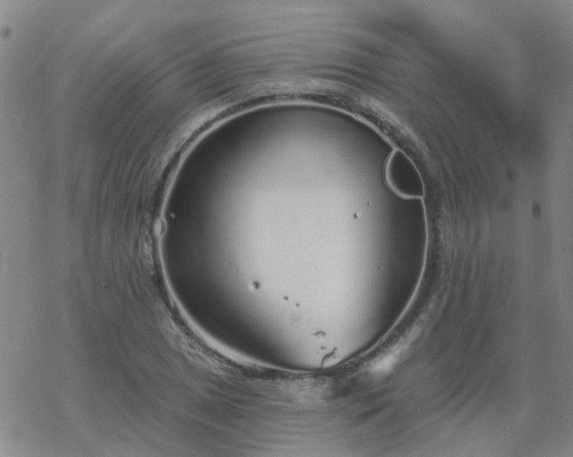 X0000069361025200605192053