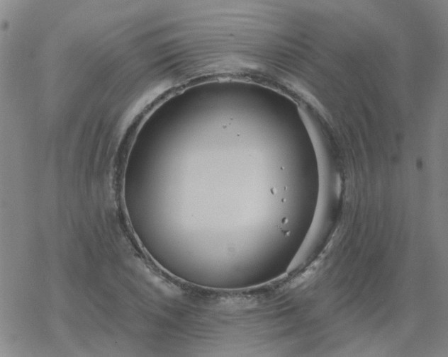 X0000069361026200605192053