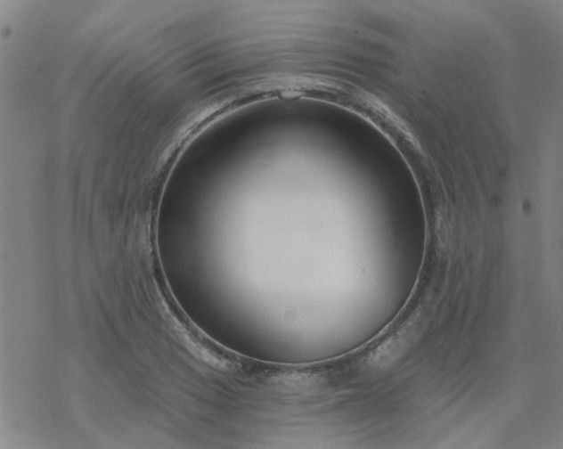 X0000069361033200605192053