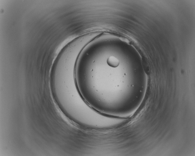 X0000069361034200605192053