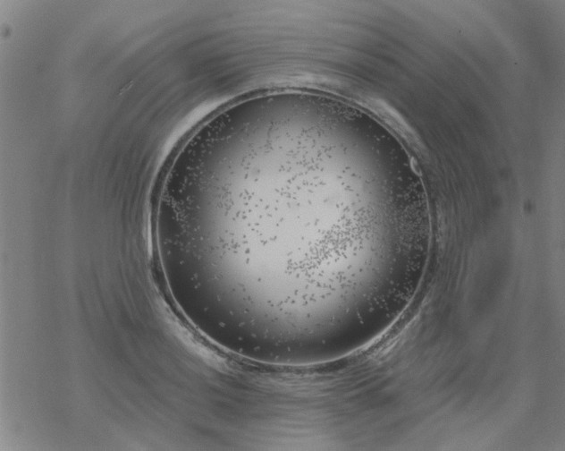 X0000069361036200605192053