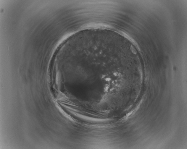 X0000069361037200605192053