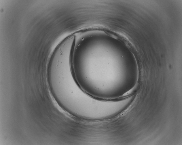 X0000069361038200605192053