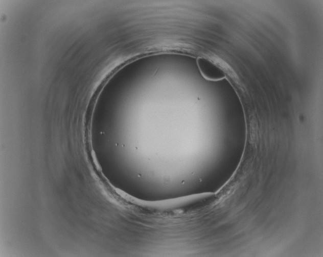 X0000069361039200605192053