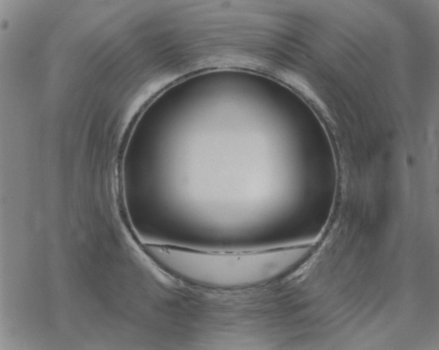 X0000069361040200605192053