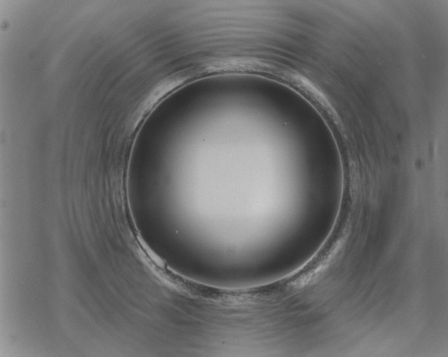 X0000069361041200605192053