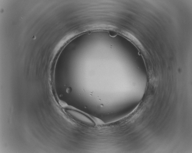 X0000069361043200605192053