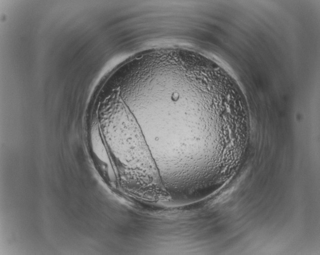 X0000069361045200605192053