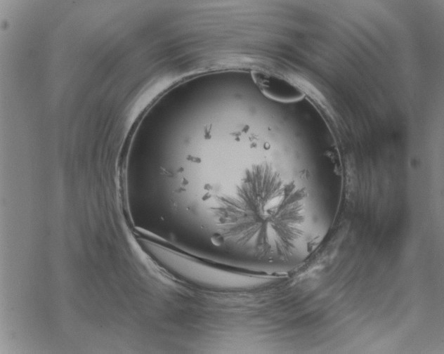 X0000069361047200605192053