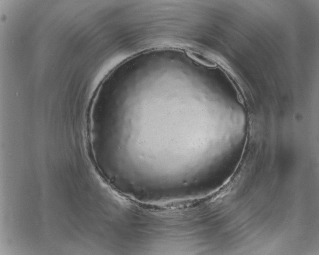 X0000069361048200605192053