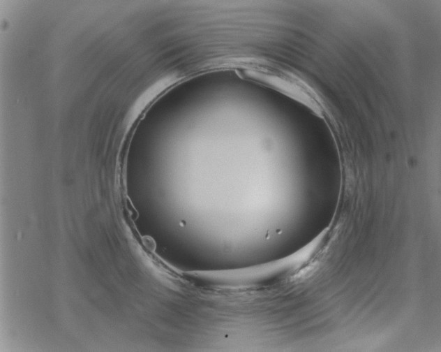 X0000069361050200605192053