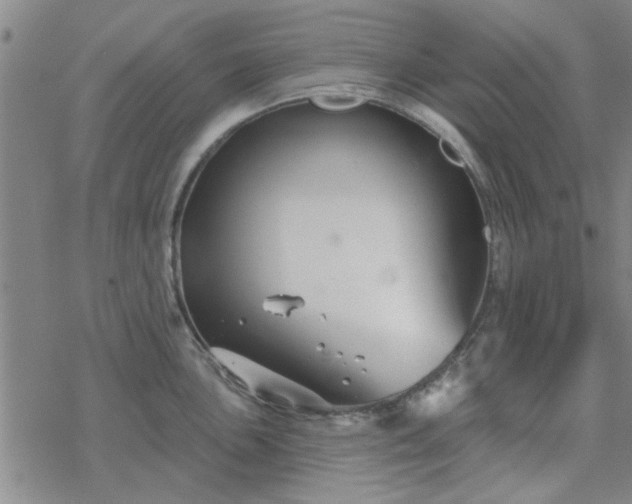 X0000069361051200605192053