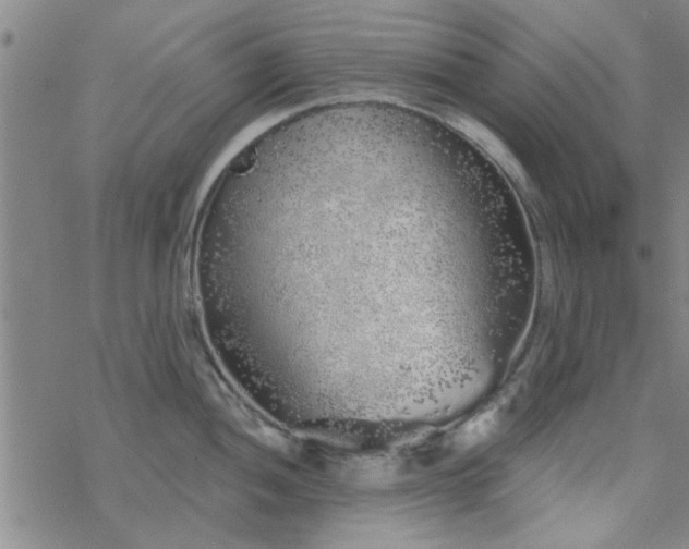 X0000069361052200605192053