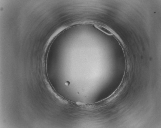 X0000069361053200605192053