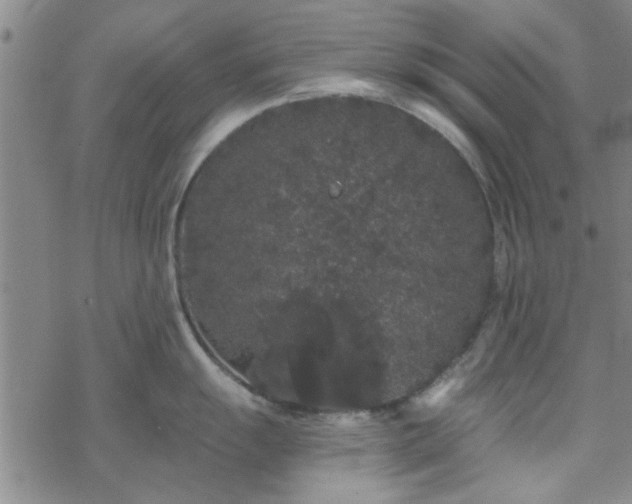 X0000069361055200605192053