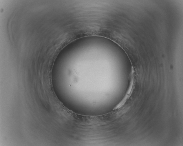 X0000069361057200605192052