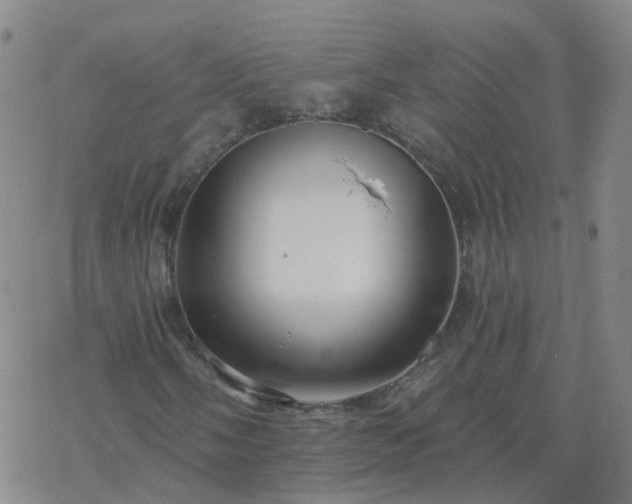 X0000069361058200605192052