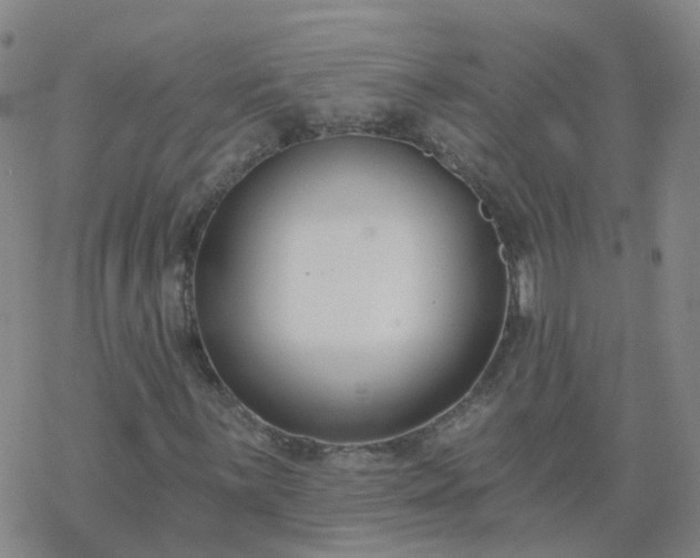 X0000069361059200605192052