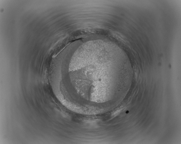 X0000069361060200605192052