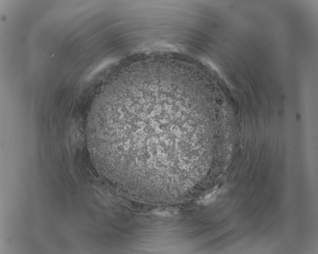 X0000069361063200605192052