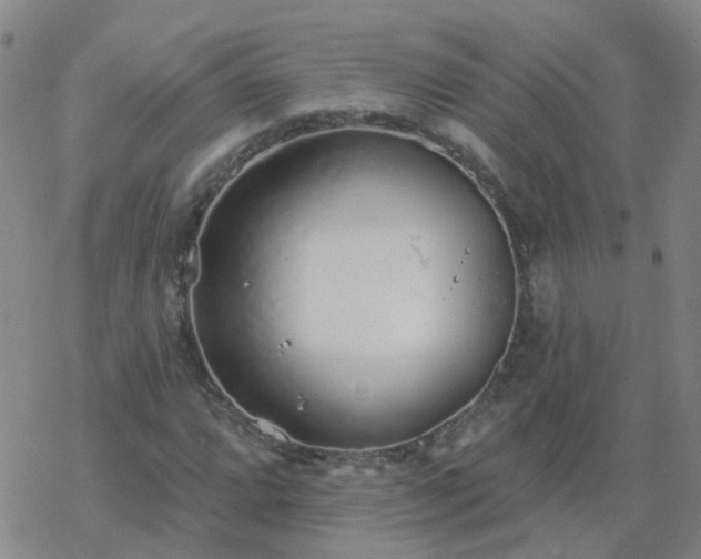 X0000069361064200605192052