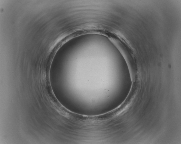 X0000069361065200605192052