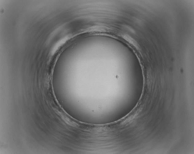 X0000069361067200605192052