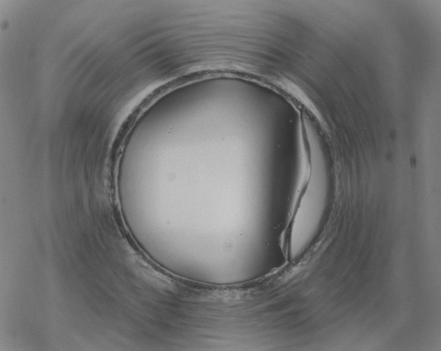 X0000069361068200605192052