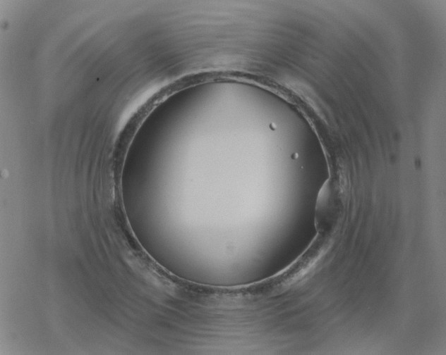 X0000069361069200605192052