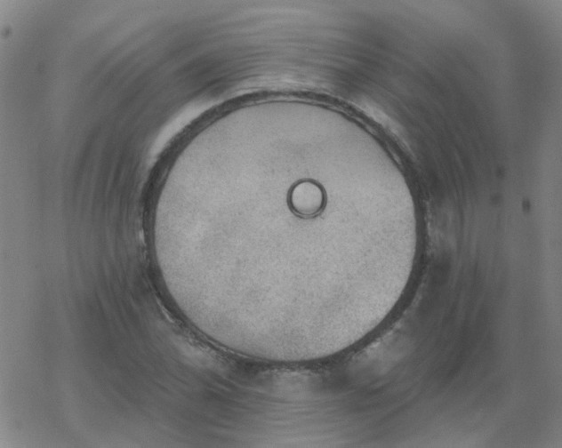 X0000069361070200605192052