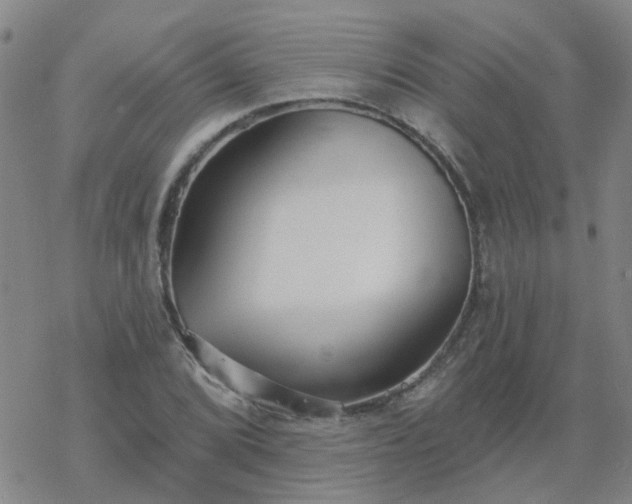 X0000069361072200605192052