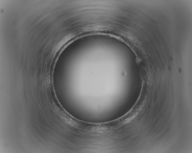 X0000069361073200605192052