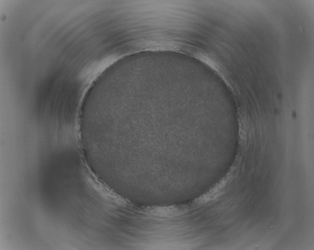 X0000069361074200605192052