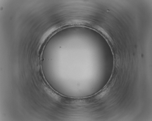 X0000069361075200605192052