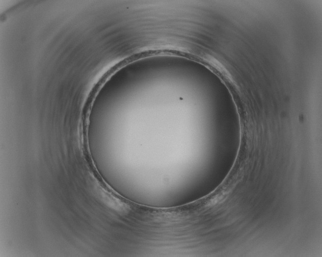 X0000069361076200605192052