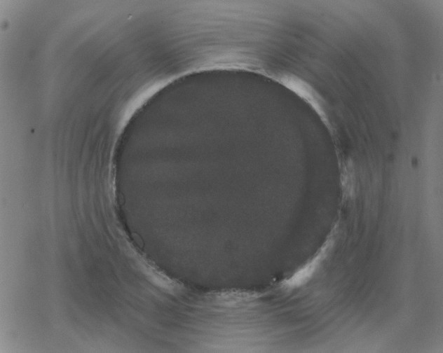 X0000069361077200605192052