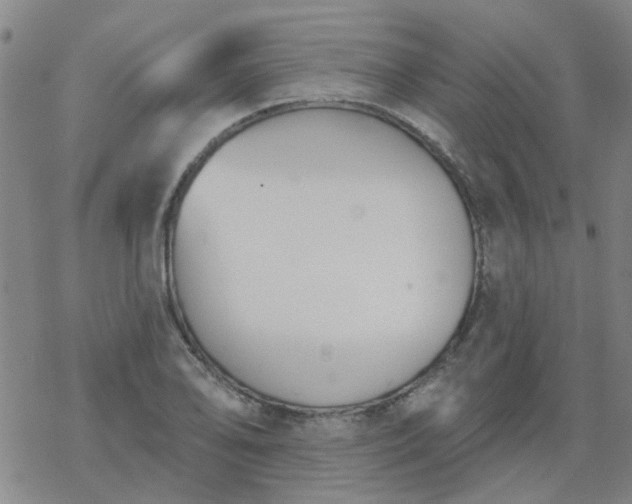 X0000069361078200605192052