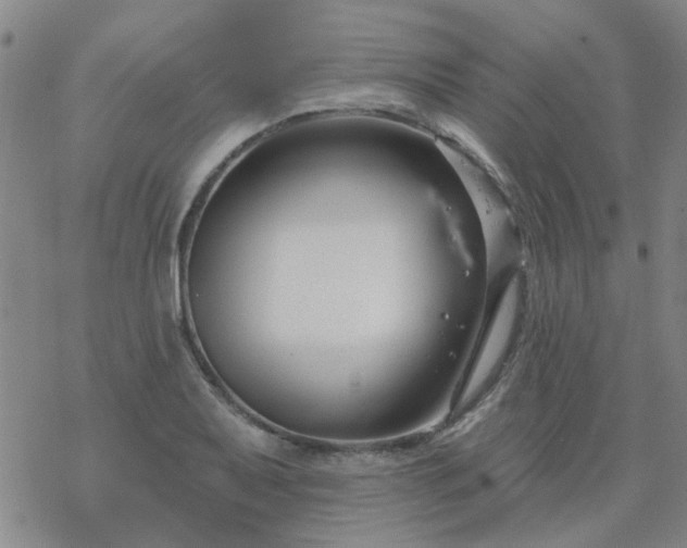 X0000069361079200605192052