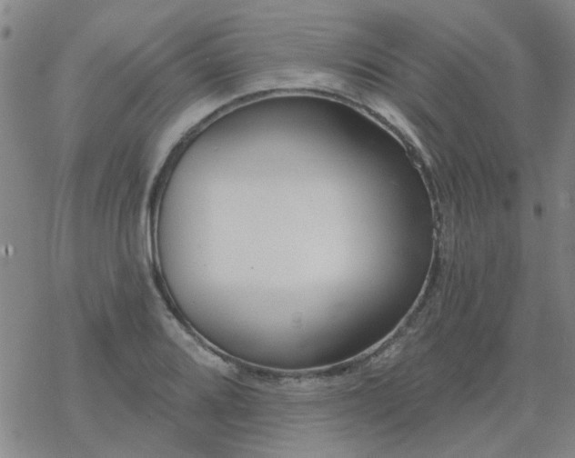 X0000069361080200605192052